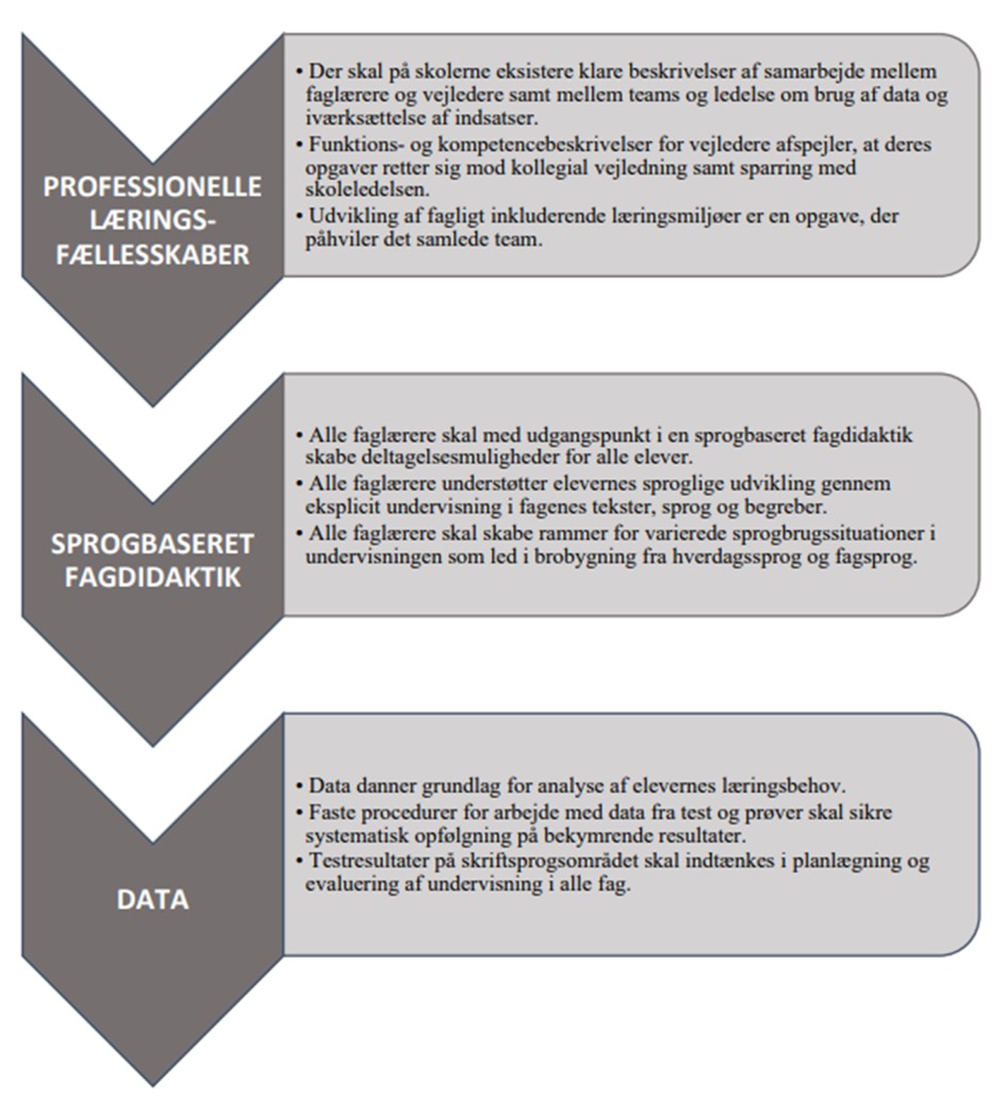 Billede af oversigt over strategi for sprog
